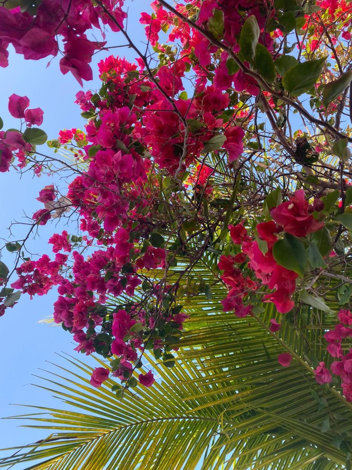 Moreira'S Paradise Taíba المظهر الخارجي الصورة